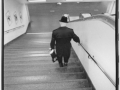 NP00450719
