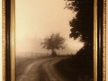 Treeincurve,OO