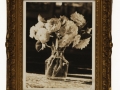 Roses,OO