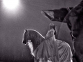 apassionata-03
