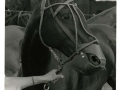 utstallningsbilder020