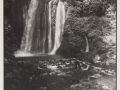Cascada en la selva