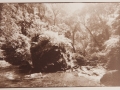 En el rio
