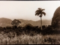 "Long gone pirates islands"