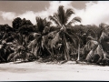 "Long gone pirates islands"