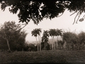 "Long gone pirates islands"