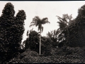 "Long gone pirates islands"
