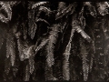 "Long gone pirates islands"