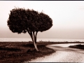 "Long gone pirates islands"