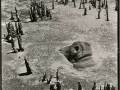 Madagascar