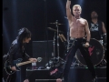 BillyIdol5059+W.jpg