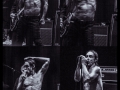Iggy x 4