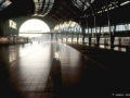 NP00450744