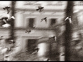 Palomas, Plaza Real